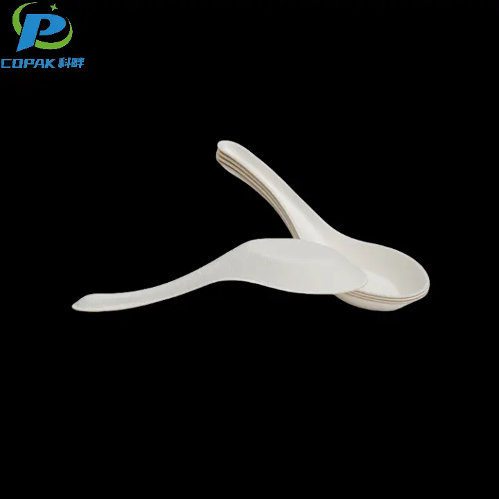 Sugarcane bagasse Pulp Cutlery set Tang Spoon