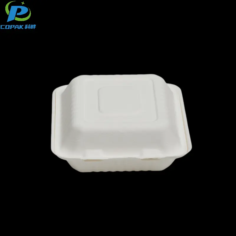 9 inch 3 compartment compostable square sugarcane box