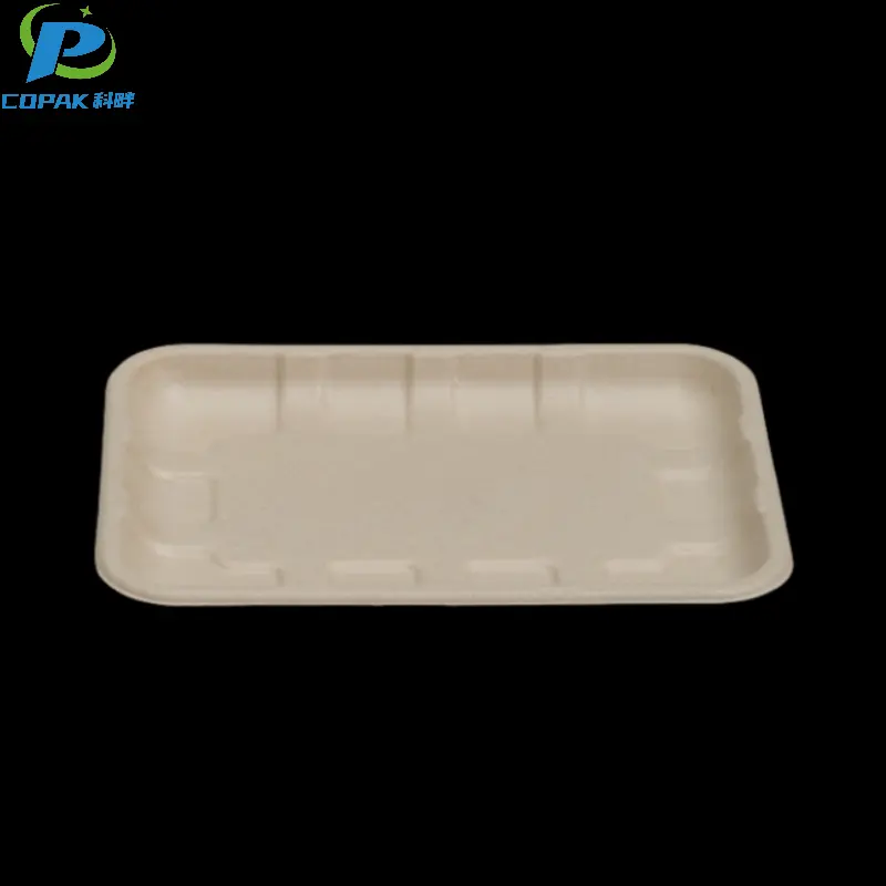 Bagasse Pulp Fiber Molded Compostable Food Tray