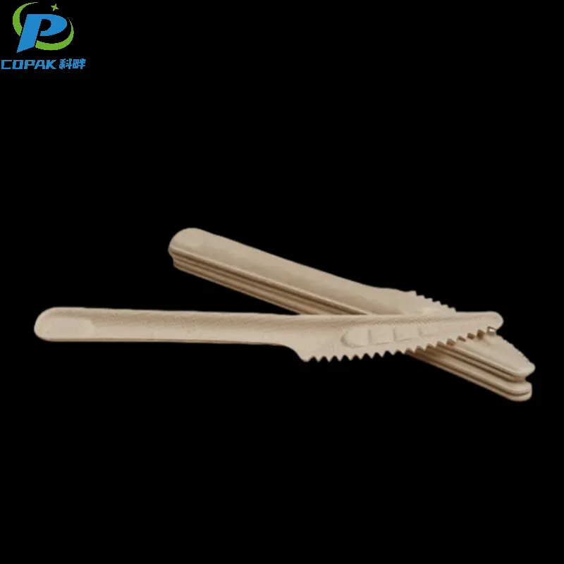 Sugarcane bagasse Sustainable Pulp disposable cutlery