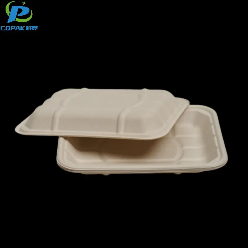 Bagasse Pulp Fiber Molded Compostable Food Tray