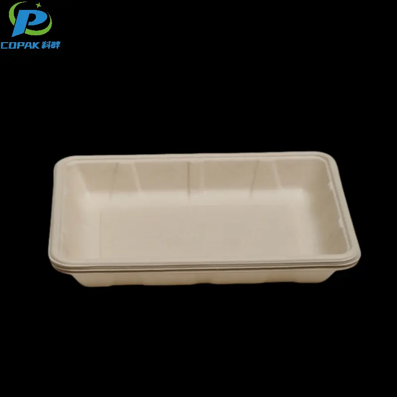 Compostable Bagasse Pulp Fiber Molded Tray