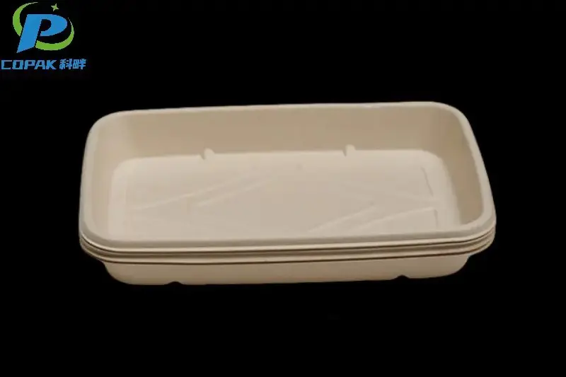 Sugarcane Bagasse Plates
