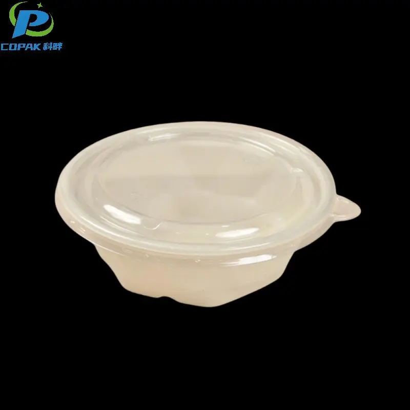 CPL02-PP-2.jpg