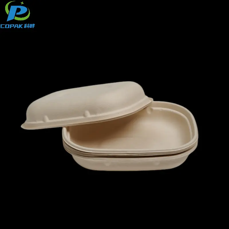 1100ML Bagasse Biodegradable Fast Food Container
