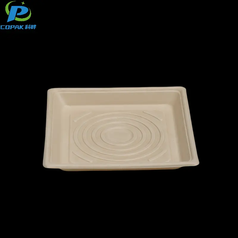 10 inch sugarcane bagasse disposable pizza plates