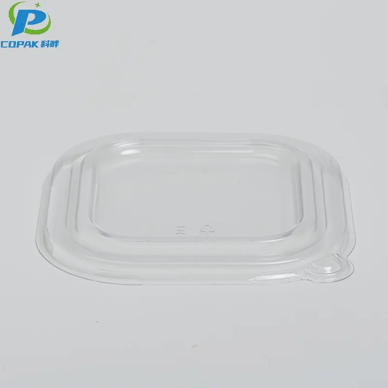 PDBG01-2.jpg