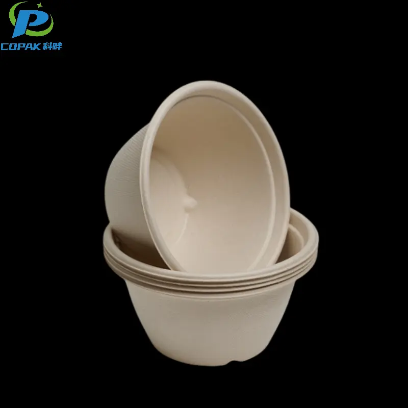 Sugarcane Eco Friendly Pulp ice cream cup