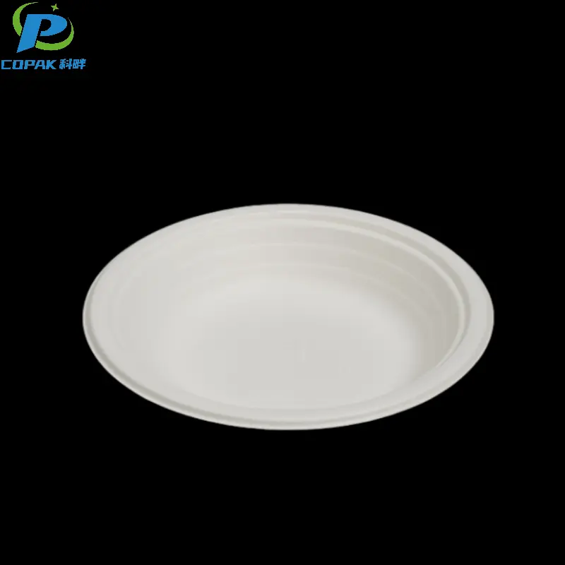 10 inch sugarcane bagasse compostable Eco Friendly Plates
