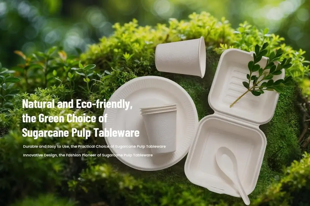 From an aesthetic perspective why using bagasse dinnerware will promote catering consumption
