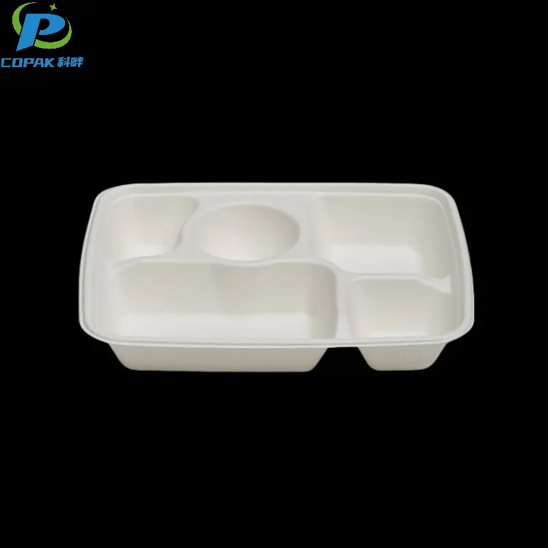 Bagasse Pulp Fiber Molded 6 Compartment Food Tray