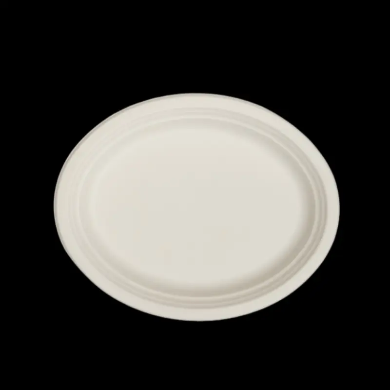 12.5 inch sugarcane bagasse disposable oval plate