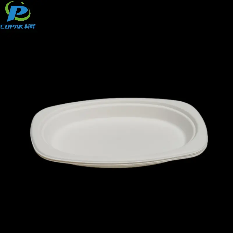 9x6 inch sugarcane bagasse compostable oval plate