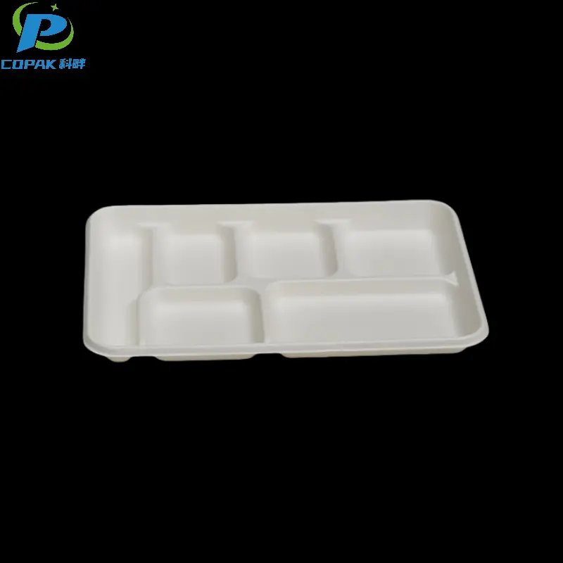 Bagasse Pulp Fiber Molded 6 Compartment Food Tray