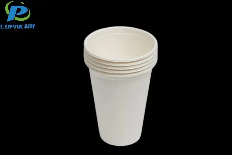 Sugarcane Bagasse Cups