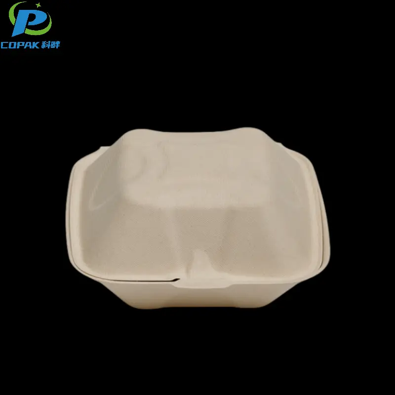 PFAS free 6” Biodegradable Food Packaging Clamshell