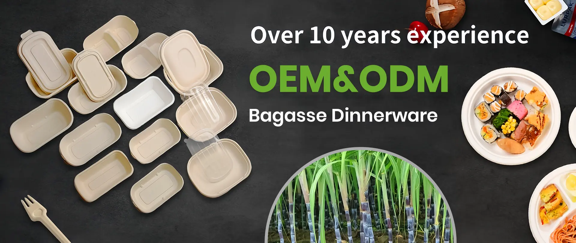 Square Bagasse Bowls
