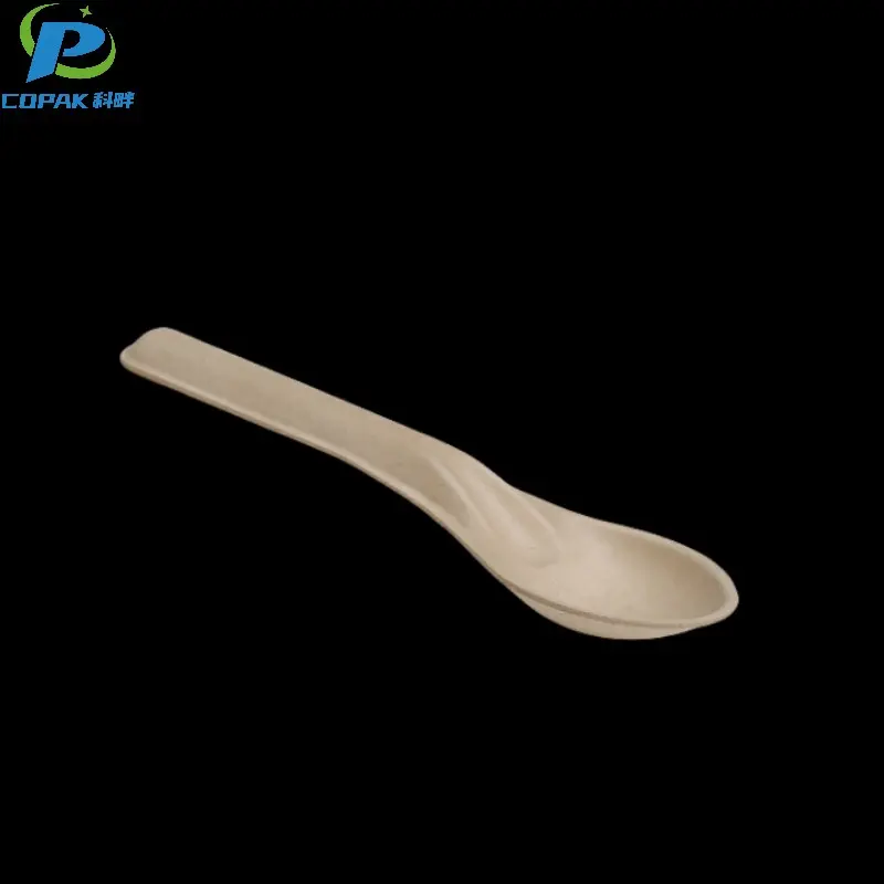 Sugarcane bagasse spoon eco friendly disposable cutlery