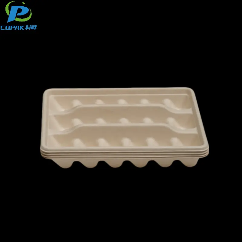 Bagasse Pulp Fiber Molded Biodegradable Dumpling Tray