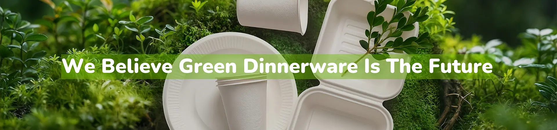 Bagasse Pulp Fiber Molded 6 Compartment Food Tray
