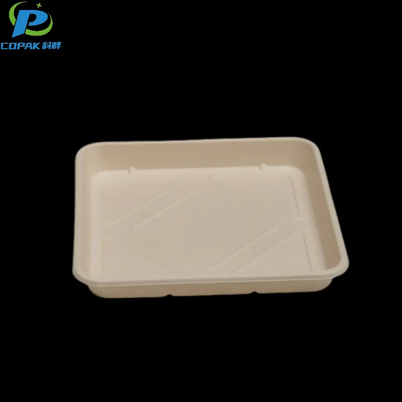 11.8 inch sugarcane bagasse paper disposable plates