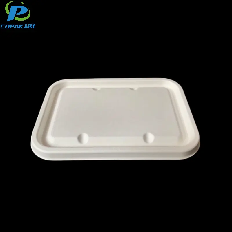 1250ml Bagasse Eco Friendly Takeaway Food Containers