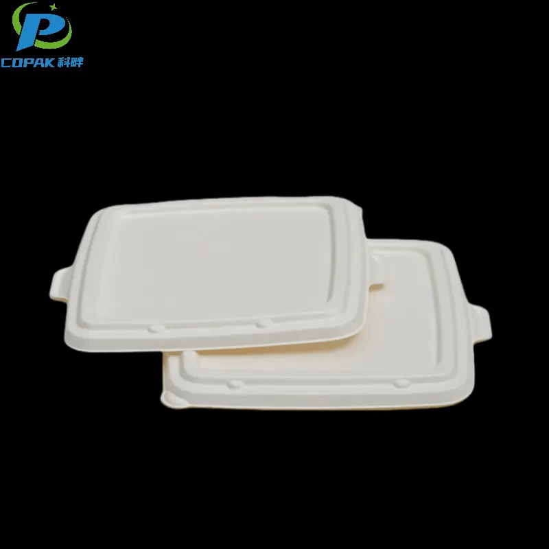 Pulp Lid for Disposable Bagasse Fiber Packing Box