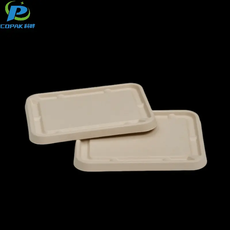 FL1200-CL-79-3.png