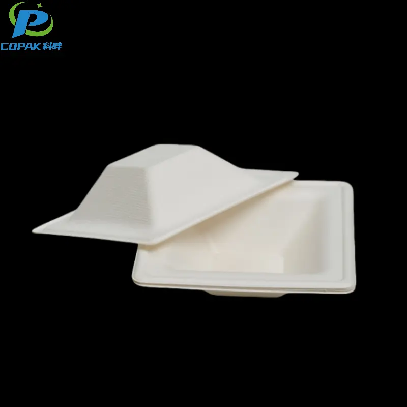10 inch sugarcane bagasse disposable square plate