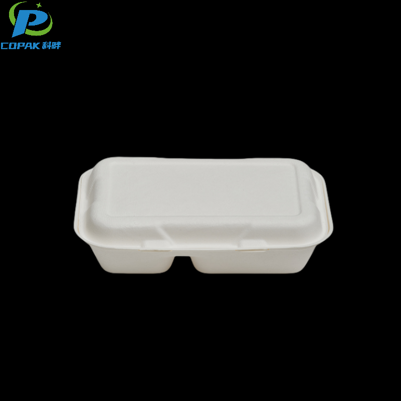 9x6 inch 2 compartment disposable sugarcane bento